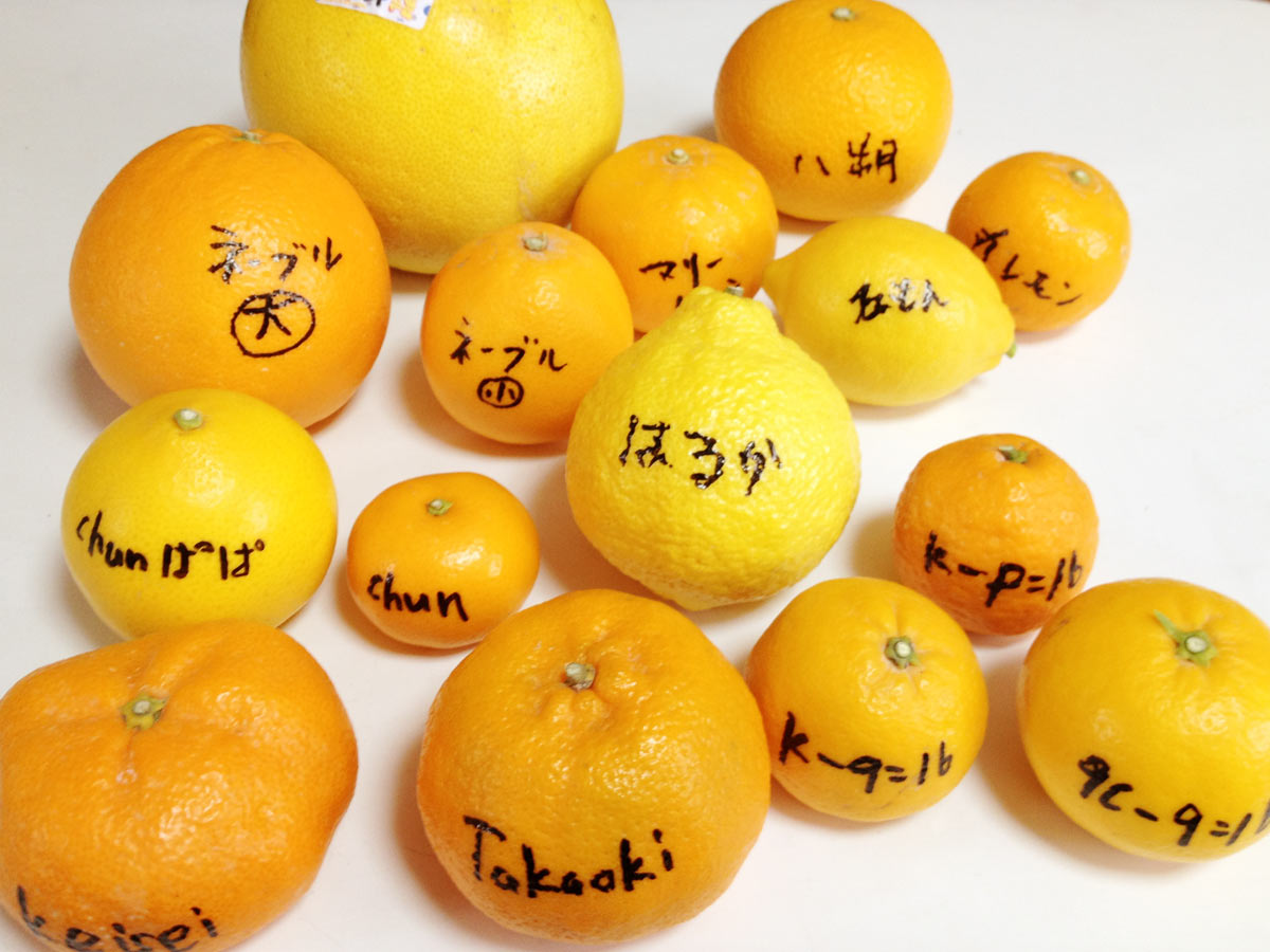 追求する心３